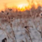 Defesa Civil alerta para temperaturas negativas