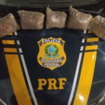 PRF apreende cinco quilos de skunk em Bagé