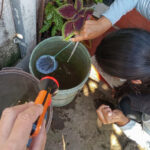 É alarmante o número de focos de mosquito da dengue em Dom Pedrito
