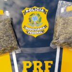 Passageiro é preso com supermaconha pela PRF em Bagé