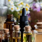 Livramento já pode ter uma “farmácia natural” e explorar os benefícios da ervas medicinais