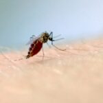 Livramento já contabiliza 29 casos confirmados de Dengue