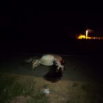 Condutor atropela, mata animal e foge na BR 293 em Livramento