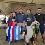 Sant´Ana do Livramento tem um novo pentacampeão na Expointer em Esteio