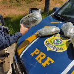 PRF prende estrangeiro por tráfico internacional de drogas