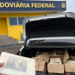 PRF faz apreensão milionária de pasta base de cocaína na Freeway