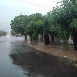 Chuva e ventos em Livramento provocam alagamentos, queda de árvores e múltiplos transtornos