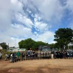 Ação binacional recolhe 8 animais de grande porte soltos em vias públicas