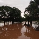 Infecções gastrointestinais e doenças causadas por animais peçonhentos são preocupações na saúde das crianças