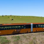 Trem do Pampa abre novos horários depois de esgotar ingressos