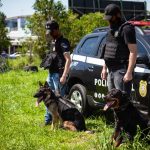 Sant’Ana do Livramento sedia 1º Torneio Internacional de Cães de Polícia