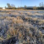 Geada intensa marca segunda menor temperatura do estado em Sant’Ana do livramento