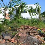 Sant’Ana do Livramento reforça legislação sobre limpeza urbana