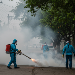 Casos de dengue aumentam em Livramento, e 2025 pode ser ainda pior
