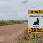 Eletrobras promove campanha sobre riscos de acidentes com animas nas estradas de Sant’Ana do Livramento 