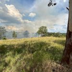 Sant´Ana do Livramento decreta estado de emergência devido à estiagem