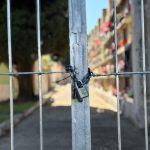 Cemitério Municipal restringe acesso e revolta visitantes