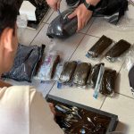 Polícia Federal prende indivíduo em flagrante por tráfico de drogas, contrabando e descaminho