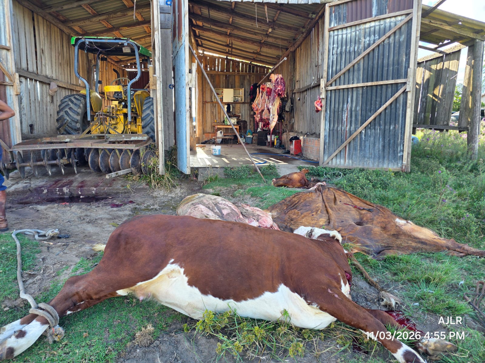 Polícia Civil fecha abatedouro clandestino e prende três homens em flagrante por abigeato em Sant’Ana do Livramento