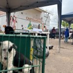 Castramóvel retoma atendimentos em Sant’Ana do Livramento